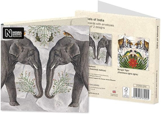 Natural History Museum Animals Of India Notecards 8 pack