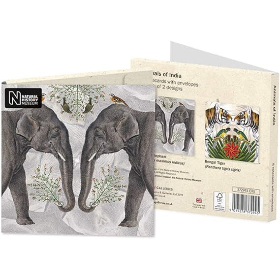 Natural History Museum Animals Of India Notecards 8 pack