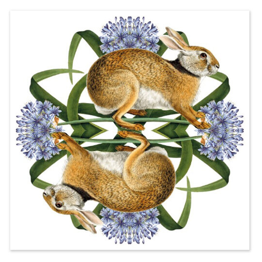 Natural History Museum European Brown Hare Card mirrored agapanthus