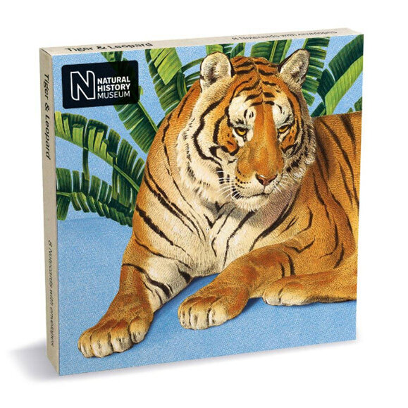 Natural History Museum Tiger & Leopard 4 x 2 Notecards Pack