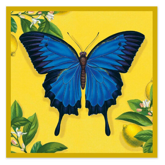 Natural History Museum Ulysses Butterfly Card