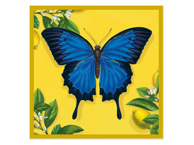 Natural History Museum Ulysses Butterfly Card yellow blue