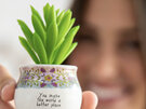Natural Life Faux Succulent Make the World Better Mini Planter PLNT082 5cm