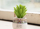 Natural Life Faux Succulent Make the World Better Mini Planter PLNT082 5cm