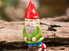 Natural Life Lucky Charm in a Box Garden Gnome