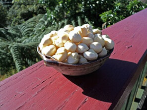 Natural Macadamia Nuts 100g