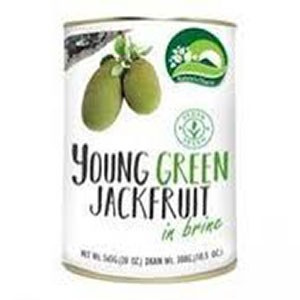 Nature's Charm Young Green Jackfruit in Brine 300g