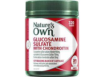 Nature's Own Glucosamine Sulfate + Chondroitin 320 Tablets