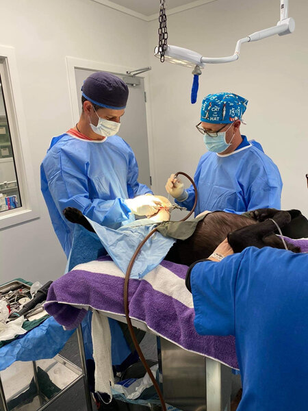 NAVSR Veterinary Surgeon | Boet Vermeulen