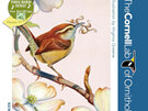 New York Puzzle Company Cornell Birds Carolina Wren 100 Piece Mini Puzzle