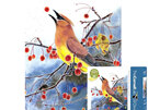 New York Puzzle Company Cornell Birds Cedar Waxwing 100 Piece Mini Puzzle