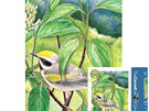 New York Puzzle Company Cornell Birds Golden Wing Warbler 100 Piece Mini Puzzle