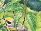 New York Puzzle Company Cornell Birds Golden Wing Warbler 100 Piece Mini Puzzle