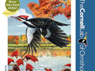 New York Puzzle Company Cornell Birds Pileated Woodpecker 100 Piece Mini Puzzle