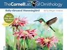 New York Puzzle Company Cornell Birds Ruby-Throated Hummingbird 100 Piece Mini P