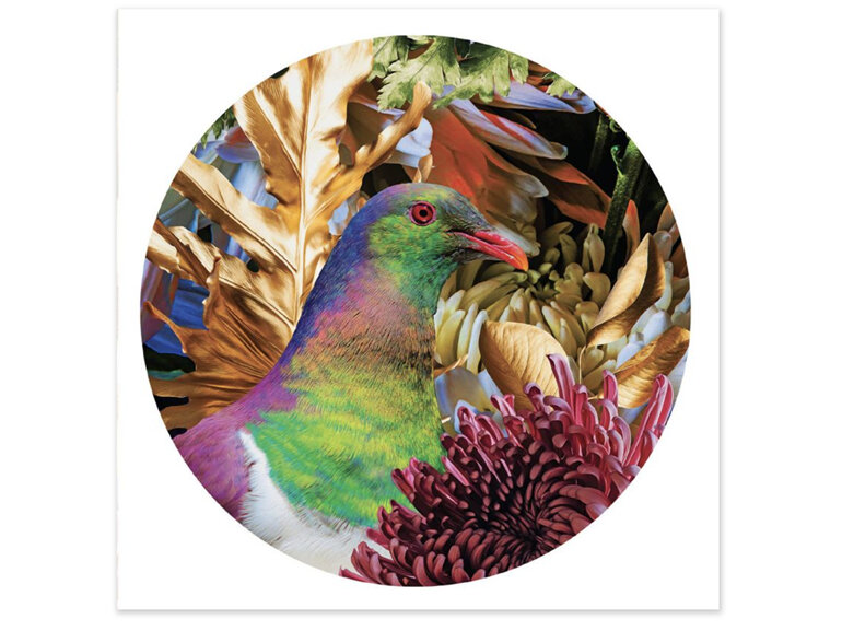New Zealand Artist Lucy Gauntlett Kereru's Calling Card Native Bird Photography