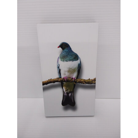 New Zealand Bird Art Block Kereru 3574