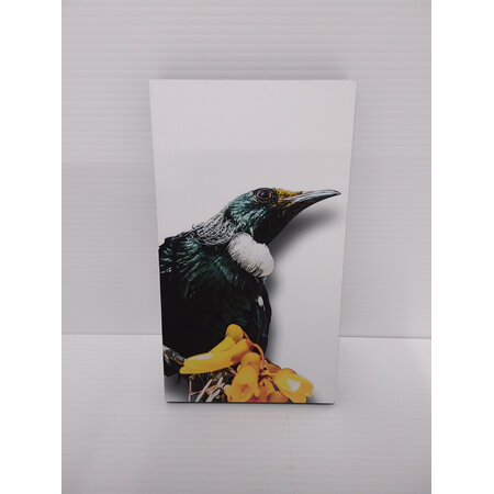 New Zealand Bird Art Block Tui 3574