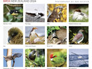New Zealand Birds 2024 Mini Wall Calendar Photography by Rob Suisted