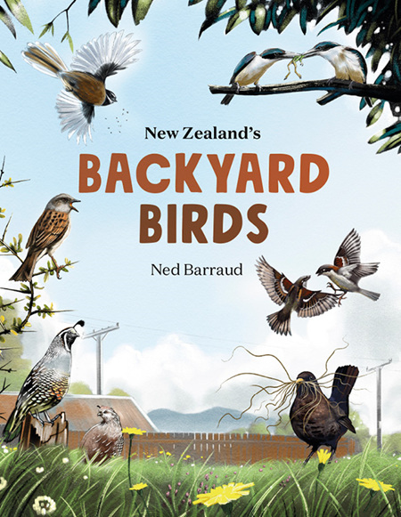 New Zealand's Backyard Birds