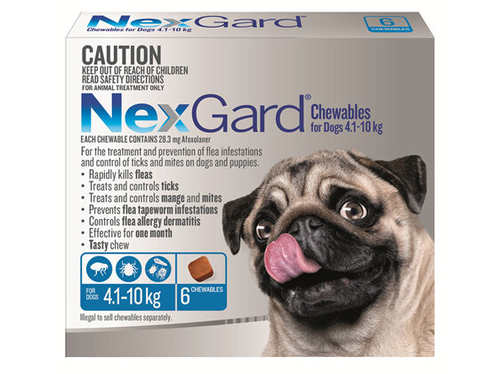 NexGard Chewables for Small Dogs (4.1-10 kg) 6 pack