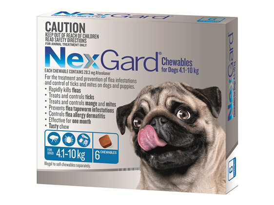 NexGard Chewables for Small Dogs (4.1-10 kg) 6 pack