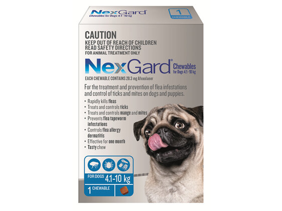 NexGard Chewables for Small Dogs (4.1-10 kg) 1 pack