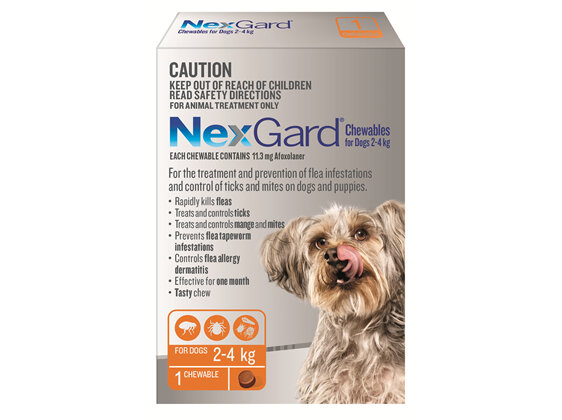 NexGard Chewables for Very Small Dogs (2-4 kg) 1 pack