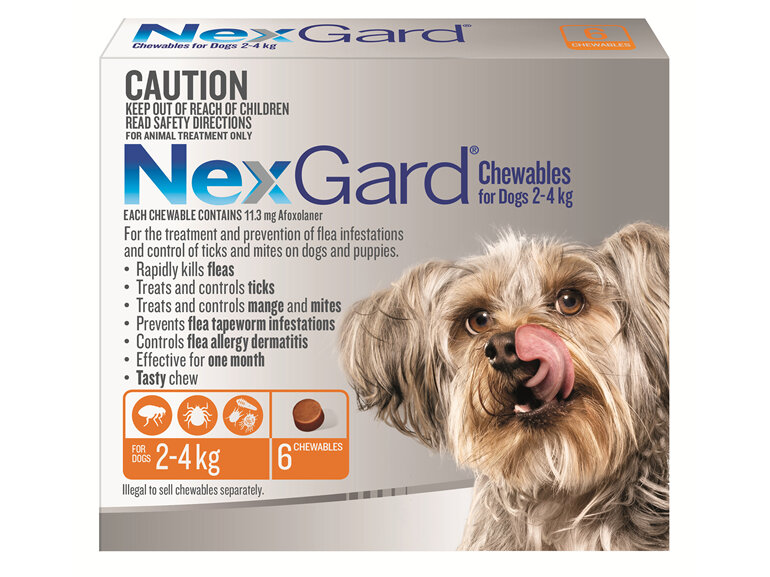 NexGard Chewables for Very Small Dogs (2-4 kg) 6 pack