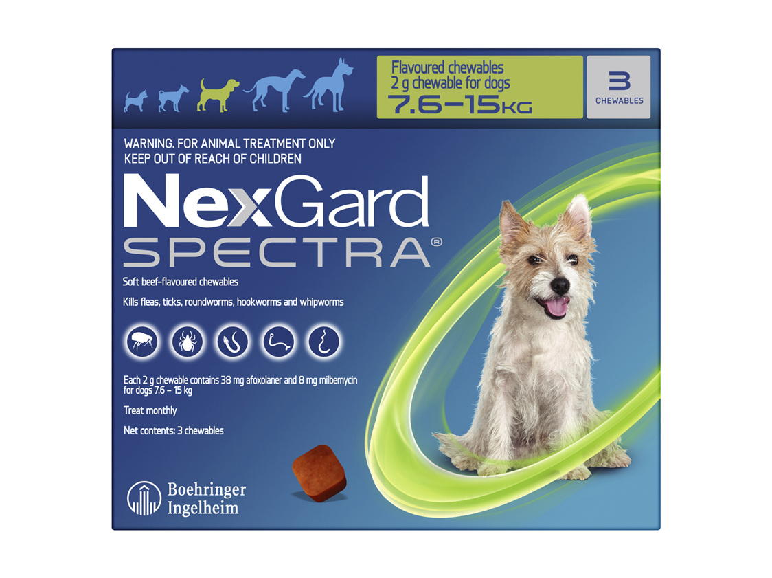 NEXGARD SPECTRA chew for dogs 7.615 kg Kamo Veterinary Limited