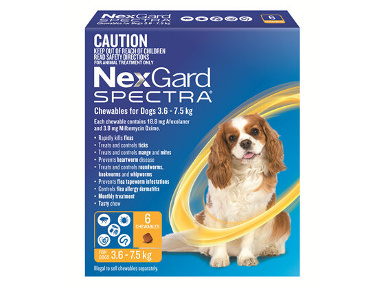 NexGard Spectra Chewables For Small Dogs (3.6-7.5 kg) 6 pack