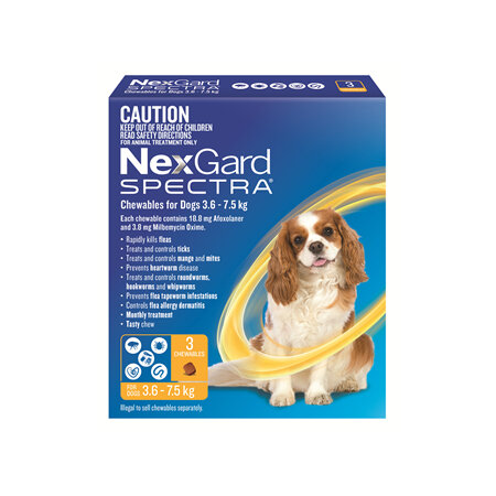 NexGard Spectra Chewables For Small Dogs (3.6-7.5 kg) 3 pack