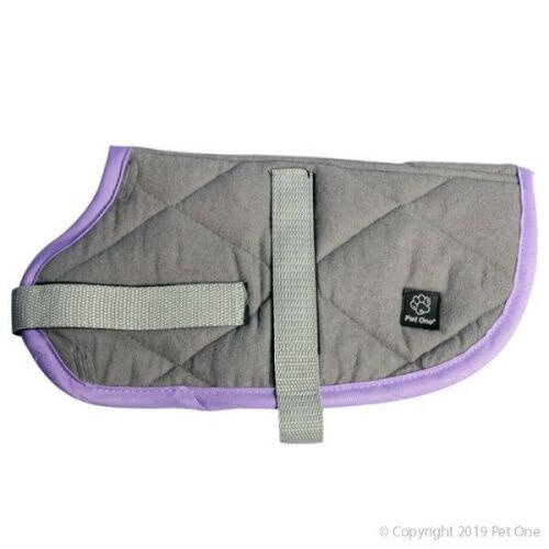Nightsleeper Quilted Jacket Grey & Purple