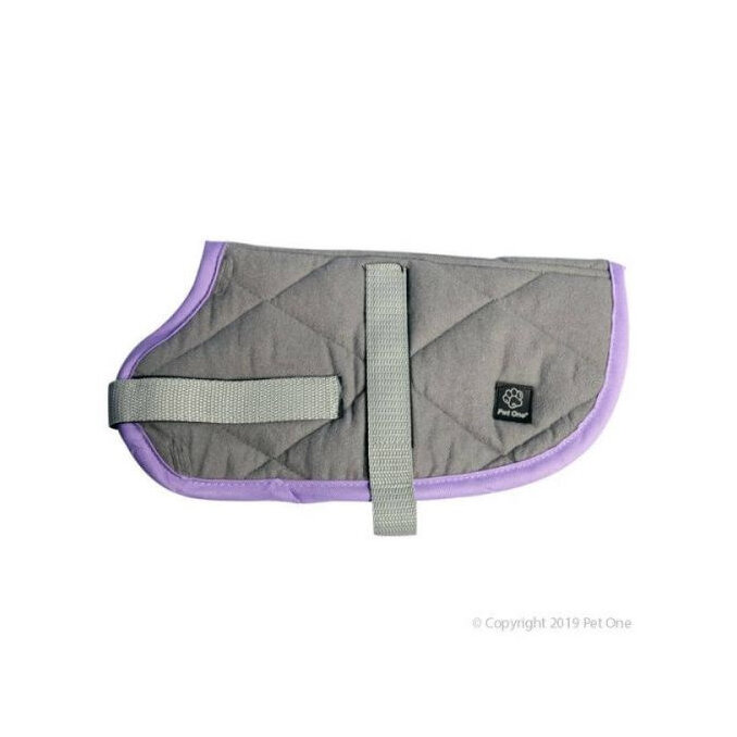Nightsleeper Quilted Jacket Grey & Purple