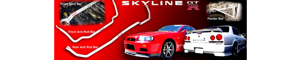 Nissan Skyline R33/R34