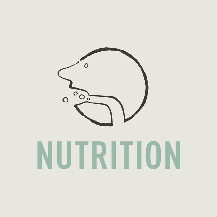 Nutritional & Biomedical Consultation