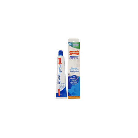 Nylabone Oral Care Natural Toothpaste