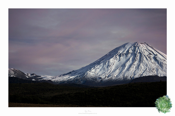 NZ Art Print, Mountains, New Zealand, Tongariro National Park, NZ, Photo Prints