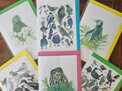 "NZ Bird themed greeting cards Pack of 6