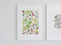 "NZ Botanicals" Prints and Greeting cards