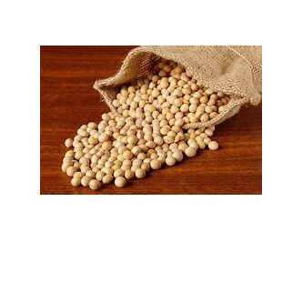 NZ Grown Cert Organic Non GMO Soya Beans per 100gr