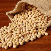 NZ grown GMO free Soya Beans per 100gr