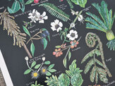NZ Native flora Colourway