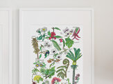 "NZ Native Flora" Prints and Greeting cards