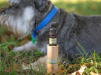 NZ Native Oils - Natural Flea Protection For Dogs 10ml