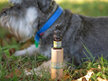 NZ Native Oils - Natural Flea Protection For Dogs 10ml