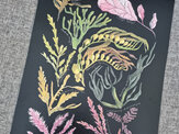 NZ Seaweed & Kelp Colourway