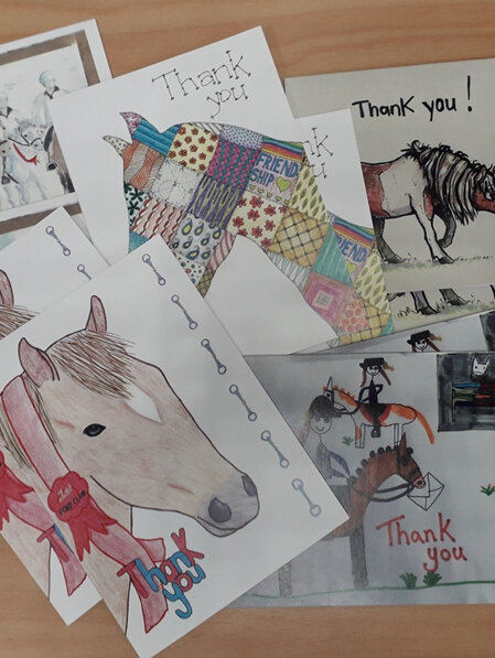NZPCA Thank You Cards - Original and Designed by our Members