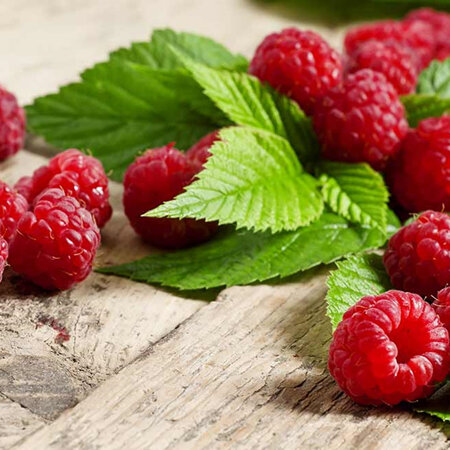 Oob Frozen Organic Raspberries or Fresh Spray-free Local