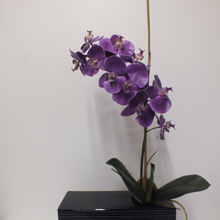 Orchid -Purple in Black Ceramic 2316